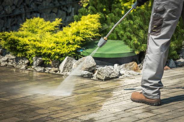 Best Driveway Pressure Washing  in Shark River Hills, NJ