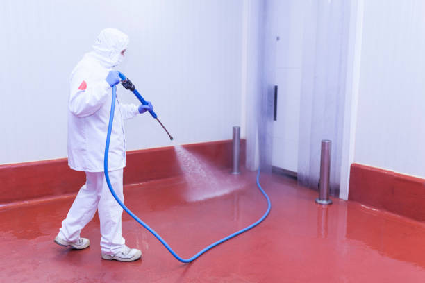 Best Building Exterior Washing  in Shark River Hills, NJ