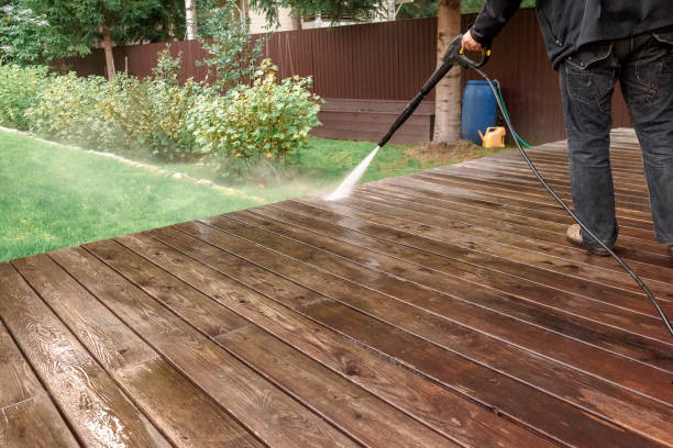Best Soft Washing  in Shark River Hills, NJ