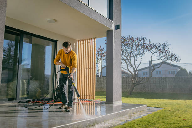 Best Roof Washing  in Shark River Hills, NJ