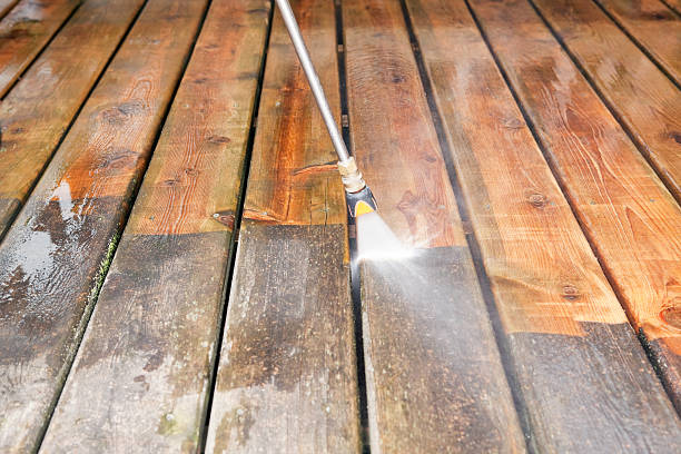 Best Dumpster Area Cleaning  in Shark River Hills, NJ